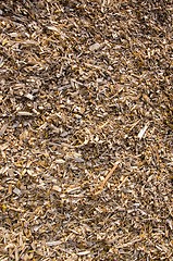 Image showing Background of wood shavings.Biomass fuels.