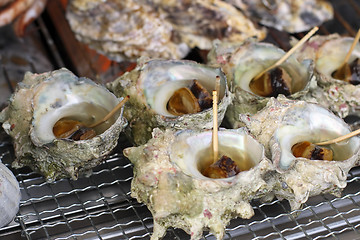 Image showing Oyster shells (Kaki)