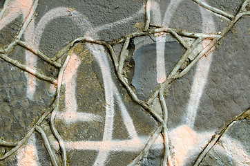 Image showing Closeup graffiti paint masonry concrete retro wall 