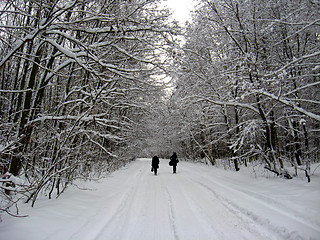 Image showing Two people going on winter road