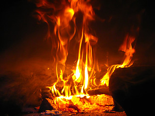 Image showing Fire wood burning in the furnace