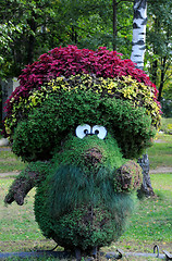 Image showing Horticultural Figure