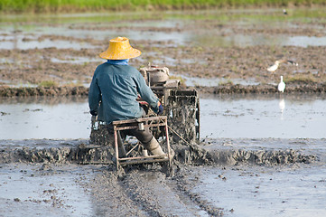 Image showing Thai farmer at the rice field