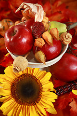 Image showing Autumn table