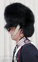 Image showing Royal Danish Guard