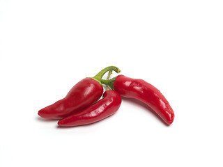 Image showing Red Chili Peppers