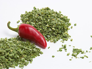 Image showing Red Chili Peppers