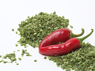 Image showing Red Chili Peppers