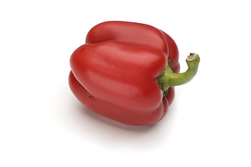 Image showing pepper