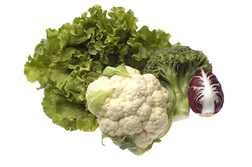 Image showing vegetables