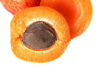 Image showing Apricot