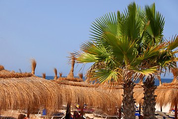 Image showing Beach sunshades