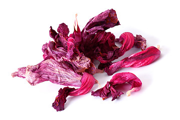 Image showing Dry hibiscus tea