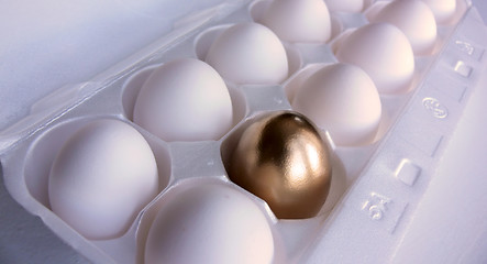 Image showing Golden Egg Surprise!