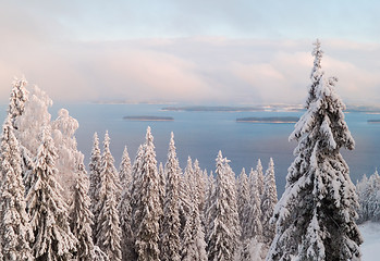Image showing Winter Scenery