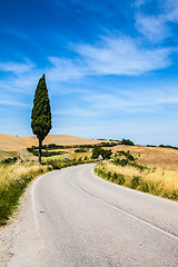 Image showing Road in Tuscany