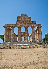 Image showing Paestum temple - Italy