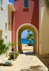 Image showing Sea and the palm