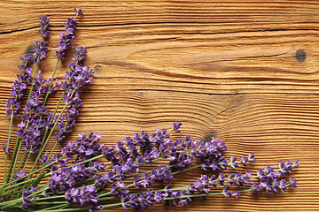 Image showing Lavender