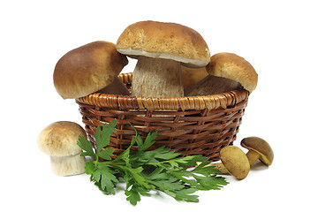 Image showing Mushrooms