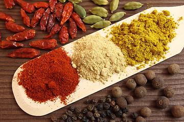 Image showing Spices