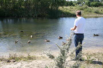 Image showing Swedish man feeding ducks
