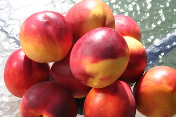 Image showing Nectarines