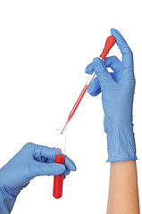 Image showing blood test