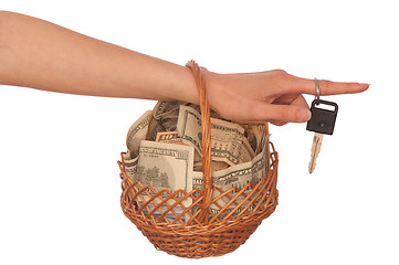 Image showing basket with money