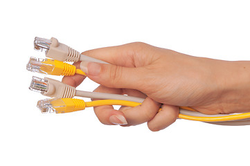 Image showing LAN cords