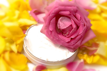 Image showing Pink cosmetics