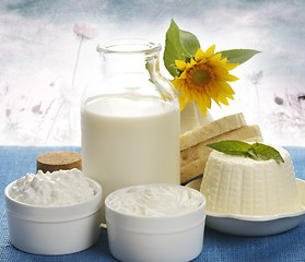 Image showing Dairy Products