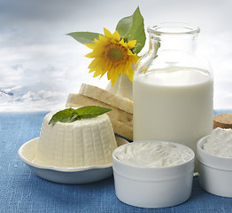 Image showing Dairy Products