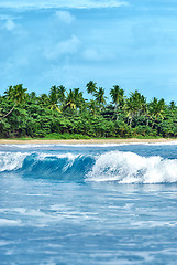 Image showing exotic island with palm trees