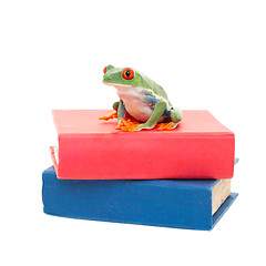 Image showing Frog on Science Books