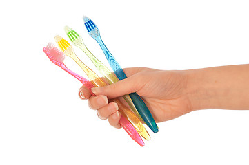 Image showing toothbrushes