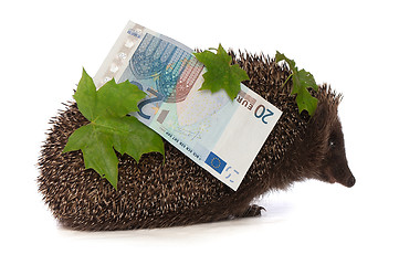 Image showing hedgehog with euro profit