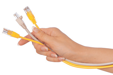 Image showing LAN cords