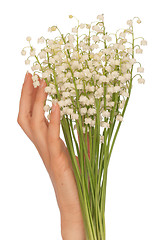 Image showing lily of the valley