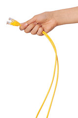 Image showing LAN cords