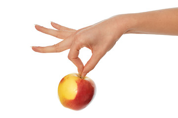 Image showing yellow with red-edged apple