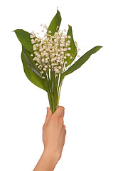 Image showing lily of the valley