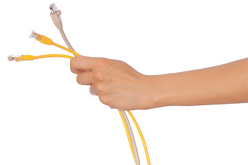 Image showing LAN cords