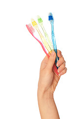 Image showing toothbrushes