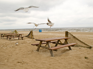 Image showing Blur seagull fly near wooden tables and fence net 