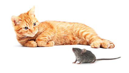 Image showing Mouse and cat