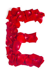 Image showing Letter E made from red petals rose on white