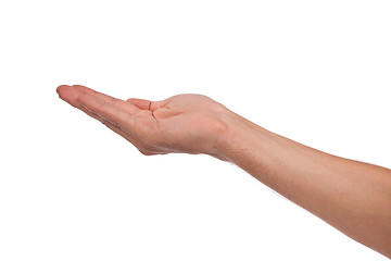 Image showing Open palm hand gesture of male hand
