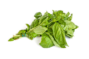 Image showing Fresh green basil leaves on white background