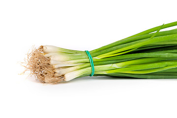 Image showing Fresh scallions isolated on white